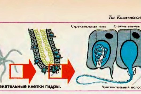 Как восстановить аккаунт на кракене даркнет