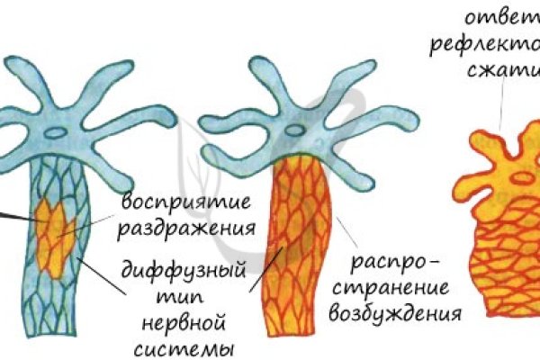 Ошибка на кракене