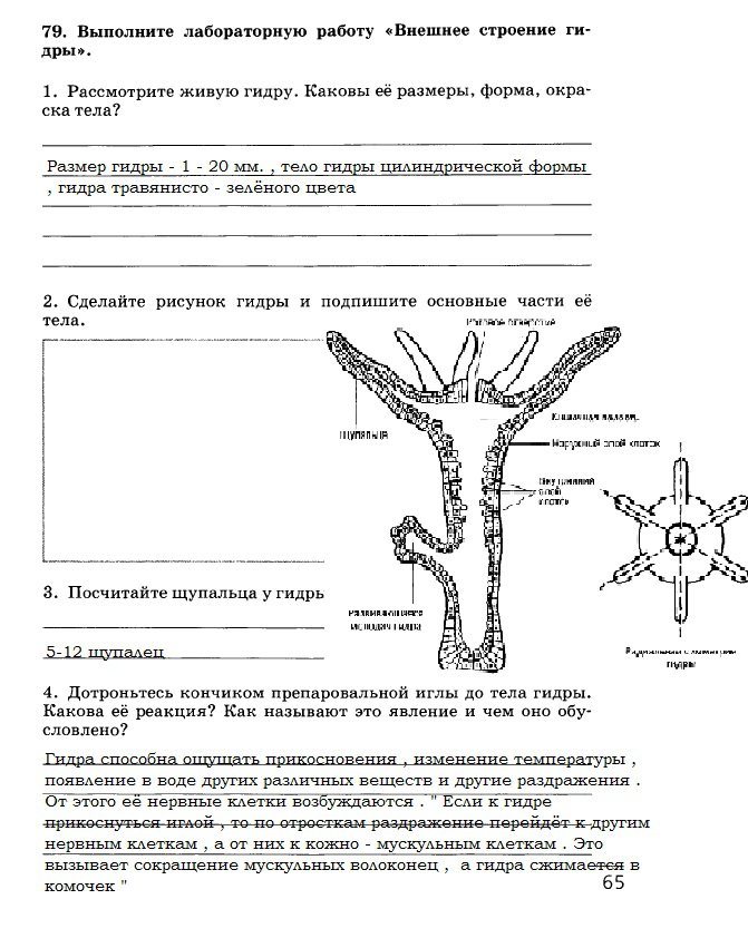 Кракен ссылка тор kr2web in